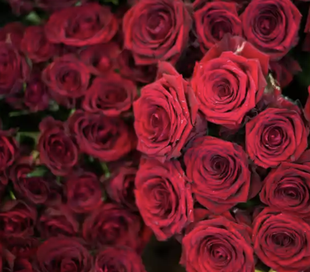 Happy Valentine’s Day!